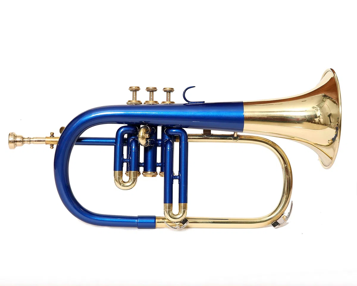 Flügelhorn mit 3 Ventilen, BB-Pitch Premium-Messing-Qualität, inklusive Mundstück und Tragetasche, Blau / Gold