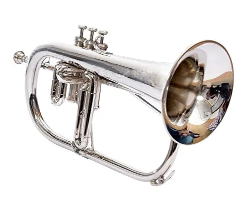 Flache Flügelhorn RDS123 Bb Nickel, inklusive Hartschalenkoffer und Mundstück